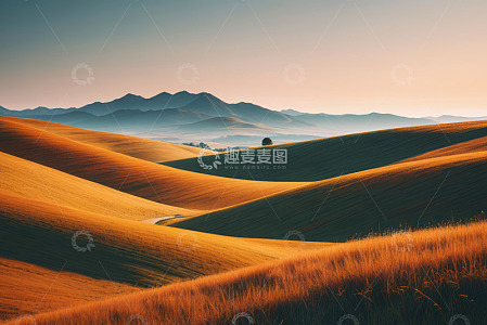 金色丘陵与远山自然风光