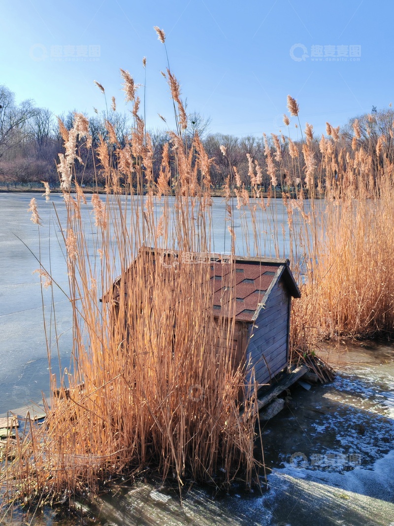 高清大图下载【趣麦麦图】冬日湖畔小屋芦苇景