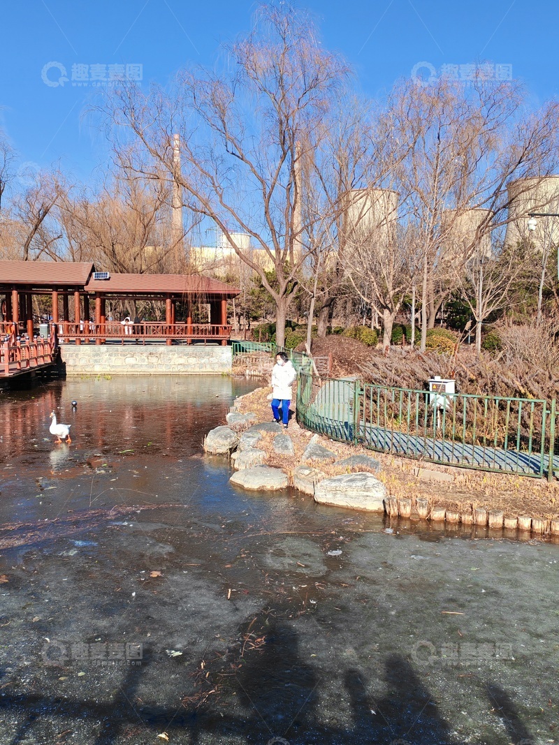 高清大图下载【趣麦麦图】冬日公园湖畔景色