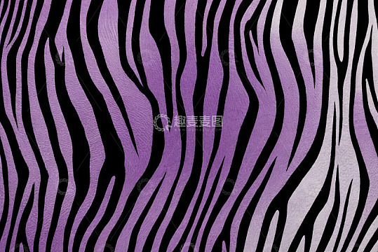 紫色斑马纹图案素材