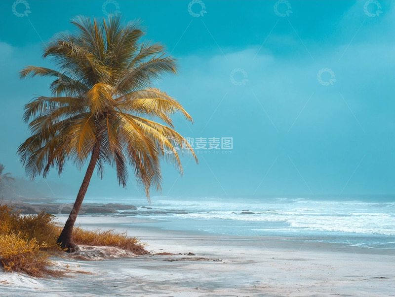 高清大图下载【趣麦麦图】蓝天下蔚蓝的海岛和一棵椰子树摄影图