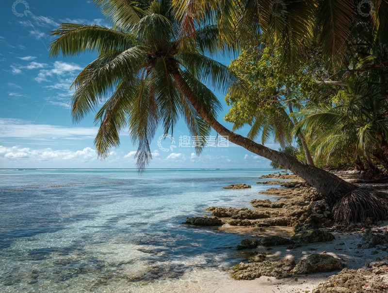 高清大图下载【趣麦麦图】湛蓝的海蓝天和椰子树高清摄影图