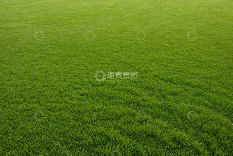 高清大图下载【趣麦麦图】户外绿色平整草坪场景