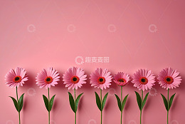 粉色背景上的粉色花朵排列