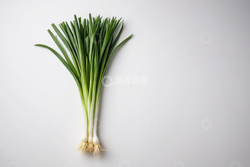 高清大图下载【趣麦麦图】鲜葱静物特写
