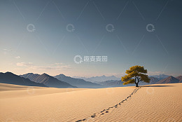 沙漠中孤树与远山景观