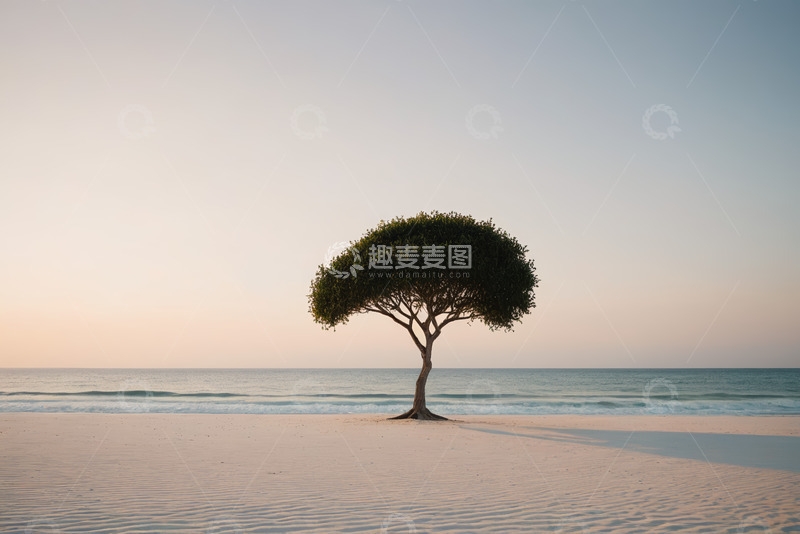 高清大图下载【趣麦麦图】海滩上的孤树与海景