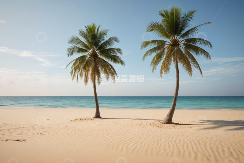 高清大图下载【趣麦麦图】海滩上的两棵棕榈树风景