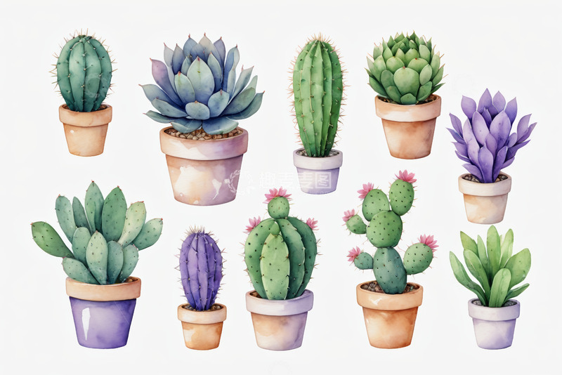高清大图下载【趣麦麦图】盆栽仙人掌与多肉植物插画