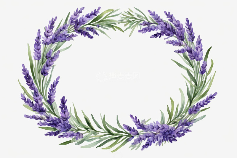 高清大图下载【趣麦麦图】手绘薰衣草花环图案
