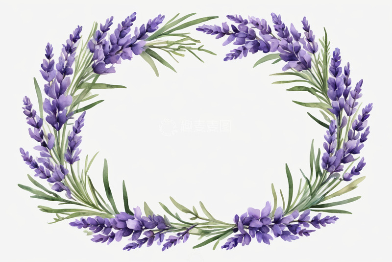 高清大图下载【趣麦麦图】薰衣草花环插画