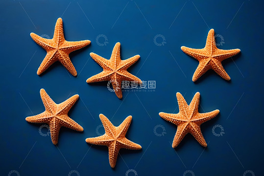 蓝色背景上的橙色海星