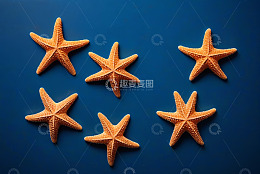蓝色背景上的橙色海星