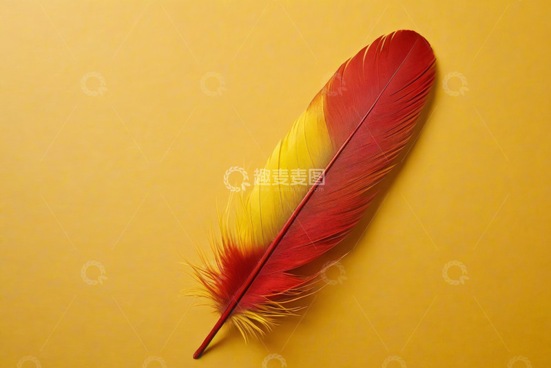 高清大图下载【趣麦麦图】红黄双色羽毛静物