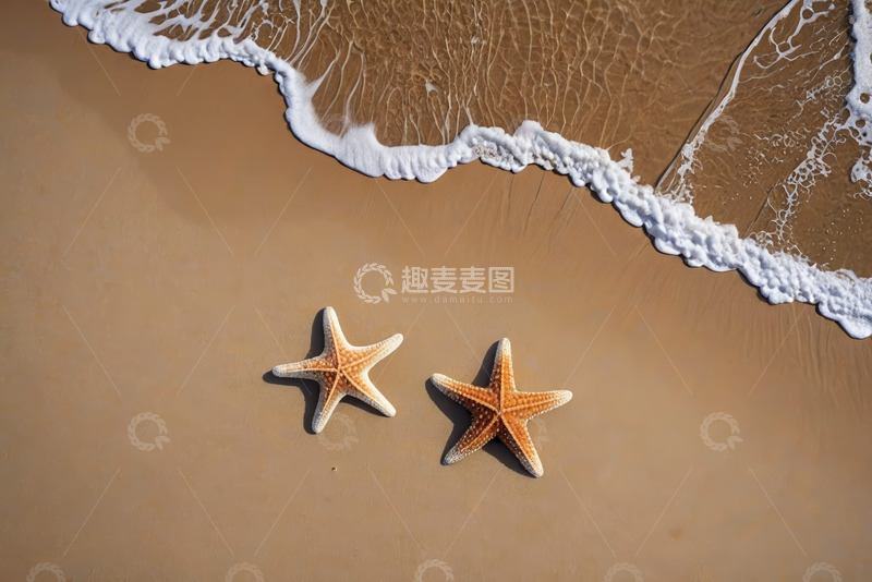 高清大图下载【趣麦麦图】沙滩上的海星与海浪