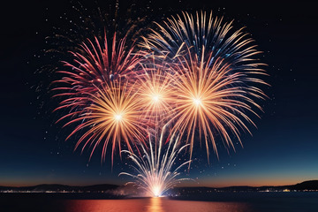 夜空中绽放的绚丽烟花