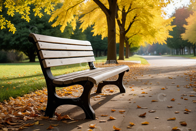 高清大图下载【趣麦麦图】公园长椅旁的秋日风景