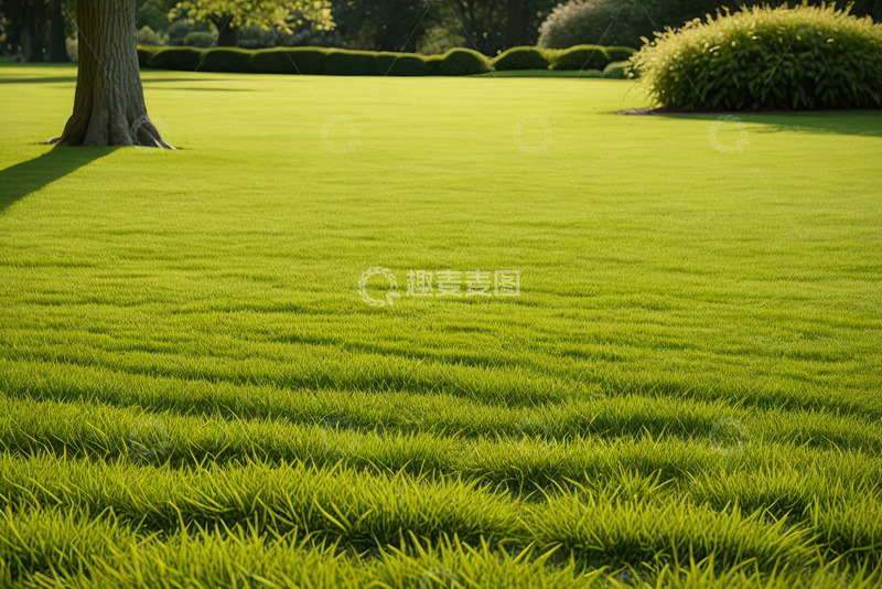 高清大图下载【趣麦麦图】户外平整的绿色草坪景观