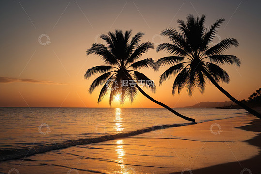 海滩夕阳下的椰子树