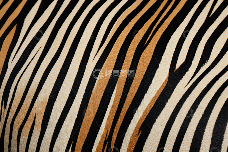 高清大图下载【趣麦麦图】老虎皮毛纹理特写