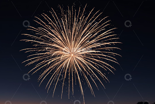 夜空中绽放的绚丽烟花
