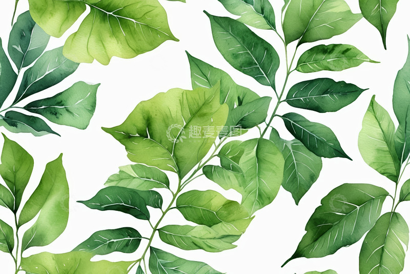 高清大图下载【趣麦麦图】绿色水彩树叶图案素材