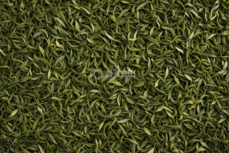 高清大图下载【趣麦麦图】特写绿茶茶叶素材