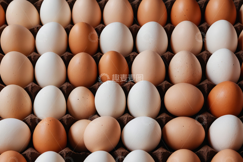高清大图下载【趣麦麦图】鸡蛋整齐排列在蛋托上