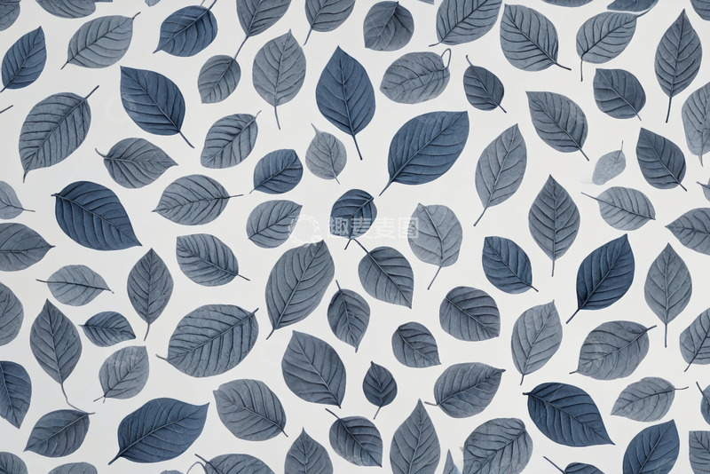 高清大图下载【趣麦麦图】蓝灰色树叶图案背景素材