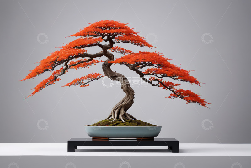 高清大图下载【趣麦麦图】红色盆景树特写