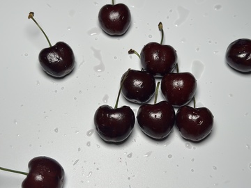 光泽樱桃静物摄影