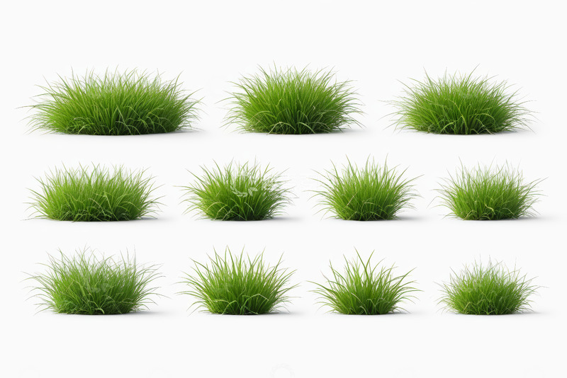 高清大图下载【趣麦麦图】多组绿色草丛素材