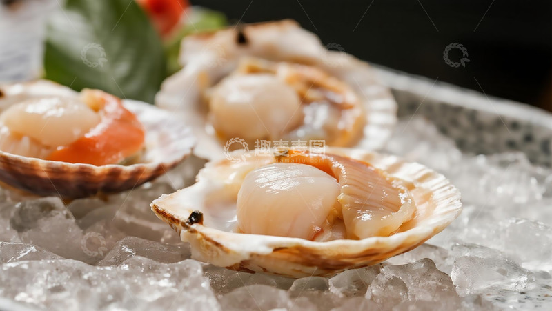 高清大图下载【趣麦麦图】美食烧烤之冰块新鲜扇贝