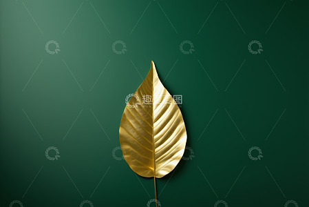 绿色背景上的金色叶子