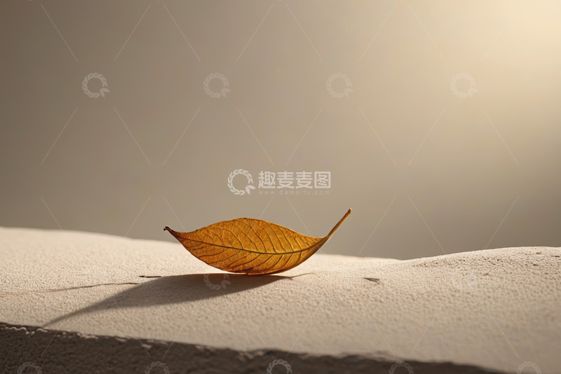 高清大图下载【趣麦麦图】单枚枯叶置于浅色平面上