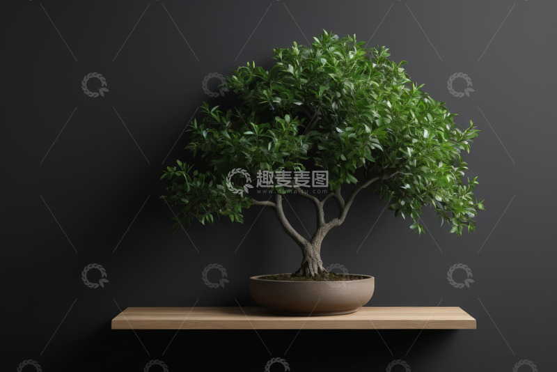 高清大图下载【趣麦麦图】木架上的盆栽绿植