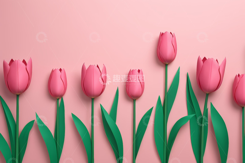 高清大图下载【趣麦麦图】粉色背景上的粉色郁金香