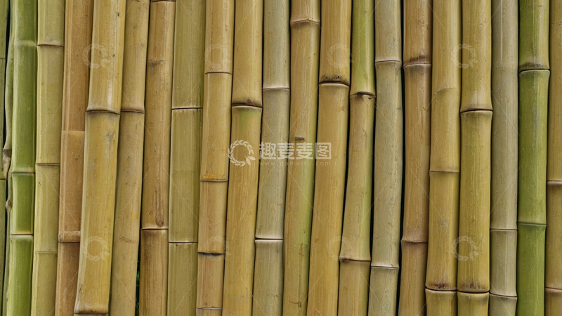 高清大图下载【趣麦麦图】整齐排列的竹子素材