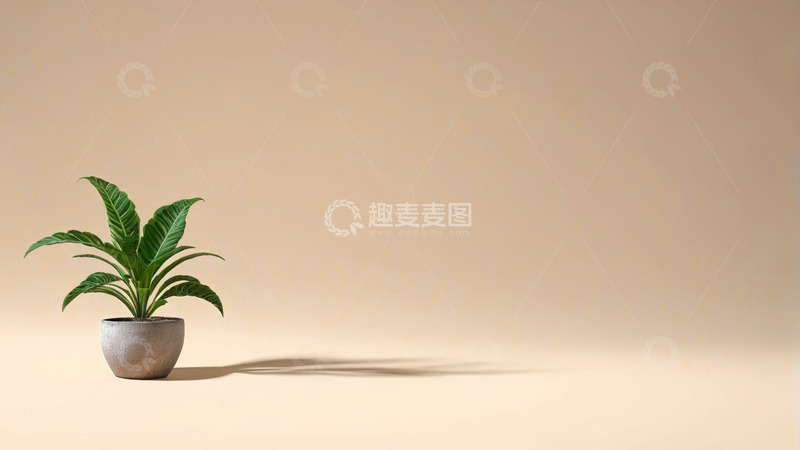 高清大图下载【趣麦麦图】-盆栽绿植简约背景图