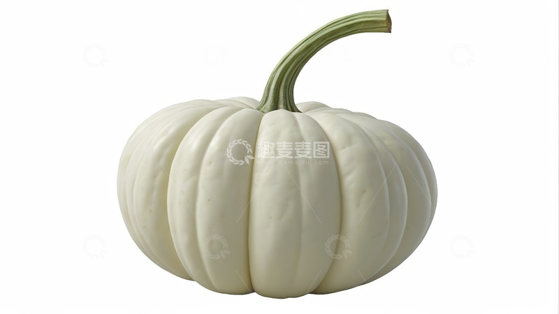 高清大图下载【趣麦麦图】白色南瓜特写