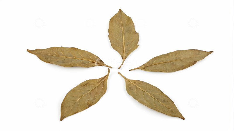 高清大图下载【趣麦麦图】五片干树叶呈星状排列