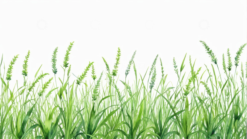 高清大图下载【趣麦麦图】手绘绿色草丛自然景象