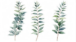 水彩风格绿色植物枝叶插画