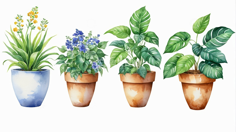 高清大图下载【趣麦麦图】盆栽花卉绿植插画