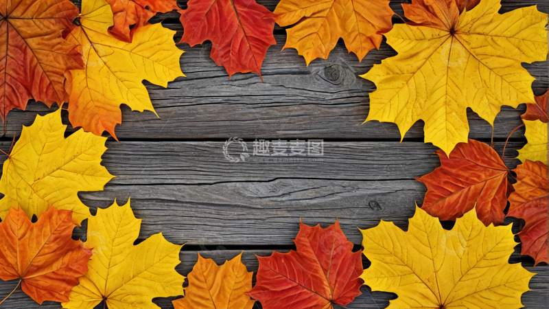 高清大图下载【趣麦麦图】木质背景上的秋季枫叶