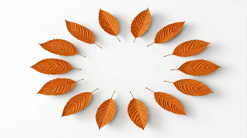 高清大图下载【趣麦麦图】圆形排列的橙色秋叶素材