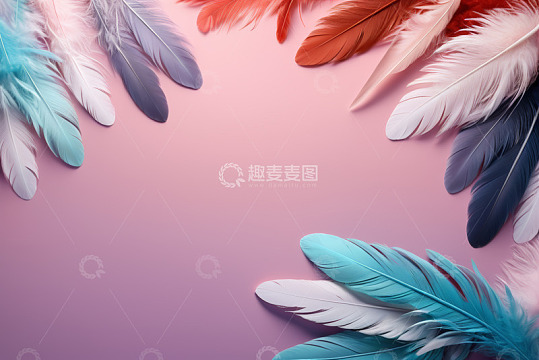 多彩羽毛摆放在粉色背景上