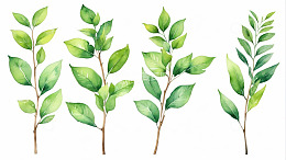 水彩风格绿色植物枝叶素材