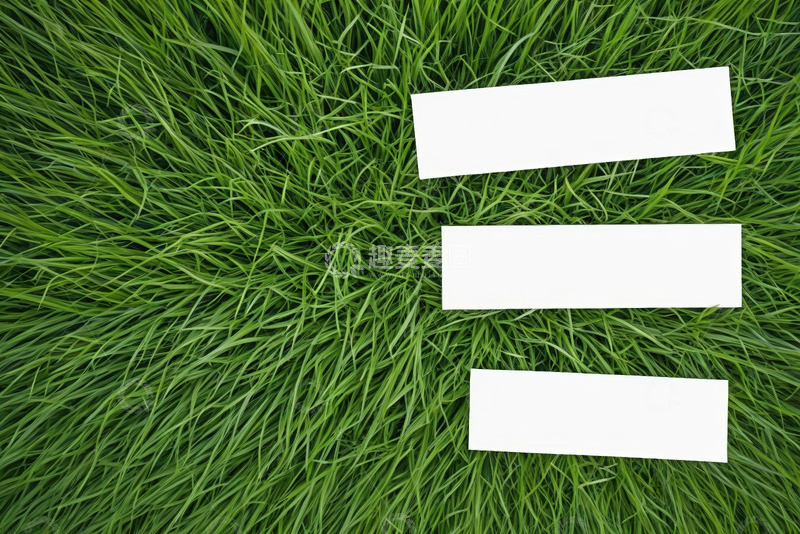高清大图下载【趣麦麦图】草地上的白色空白卡片