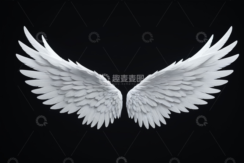 高清大图下载【趣麦麦图】白色天使翅膀图形素材